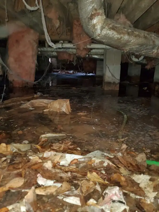 Crawl space flood assessment for Leak Detection & Repair in Highland