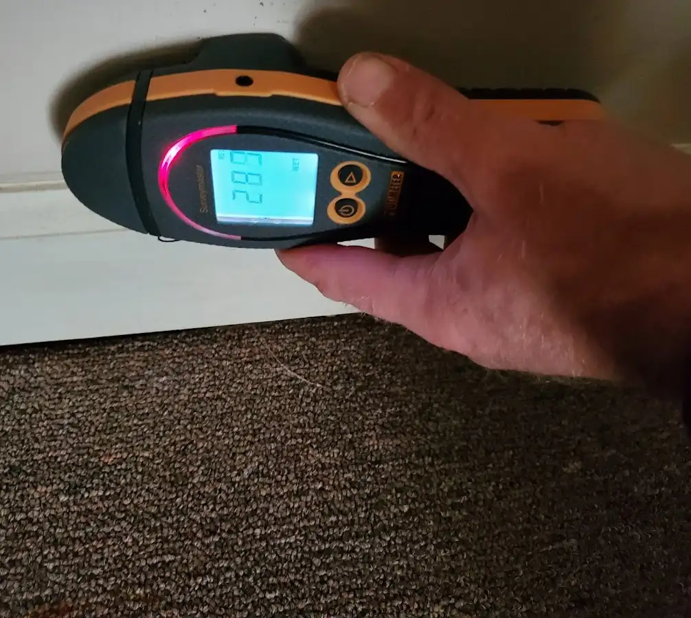Moisture detection at baseboard during Sewage Cleanup & Sanitation in Highland
